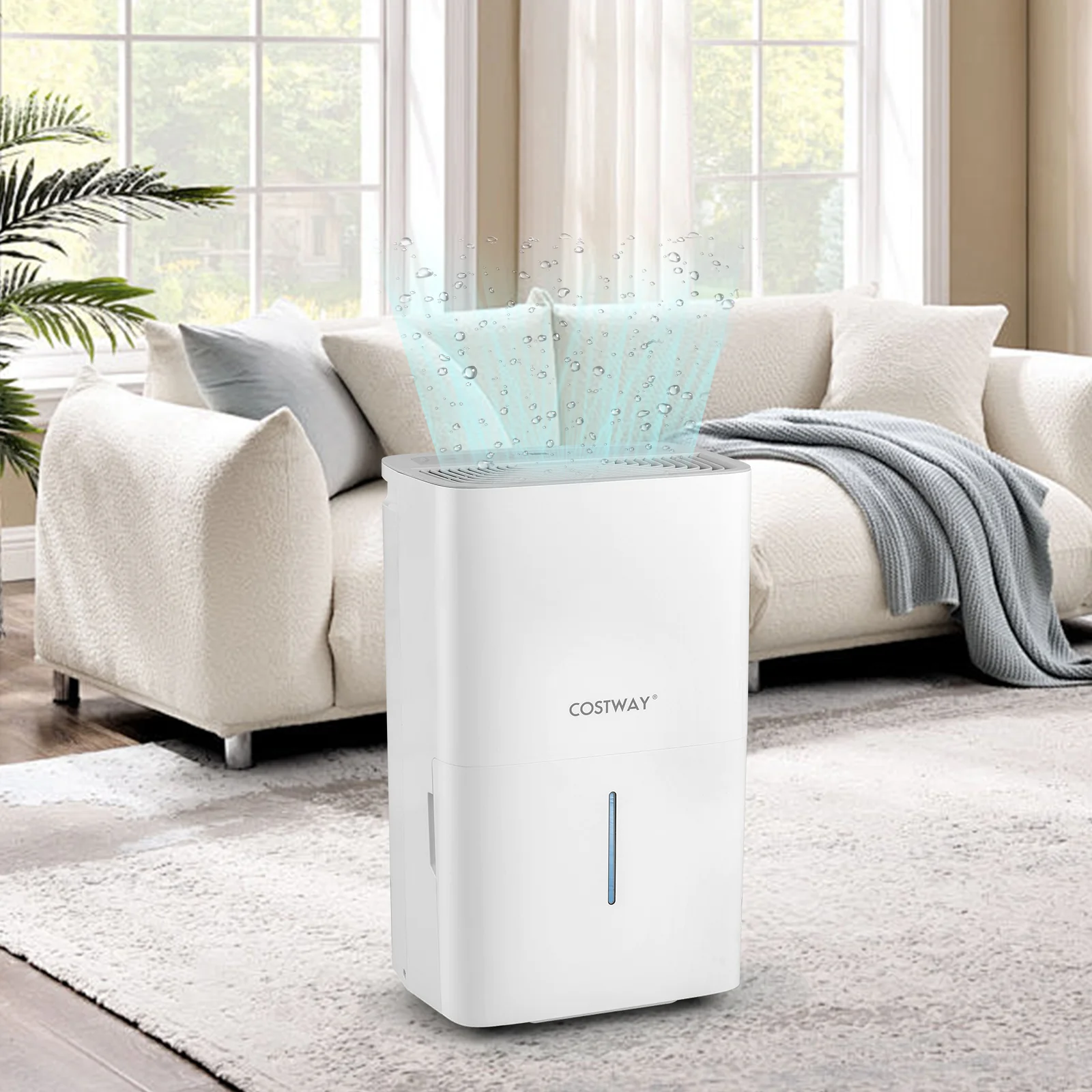 150 Pints Dehumidifier with 24H Timer and LED Display