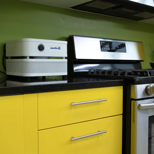 Austin Air it Unit with VOC Wrap Air Purifier - Image 2