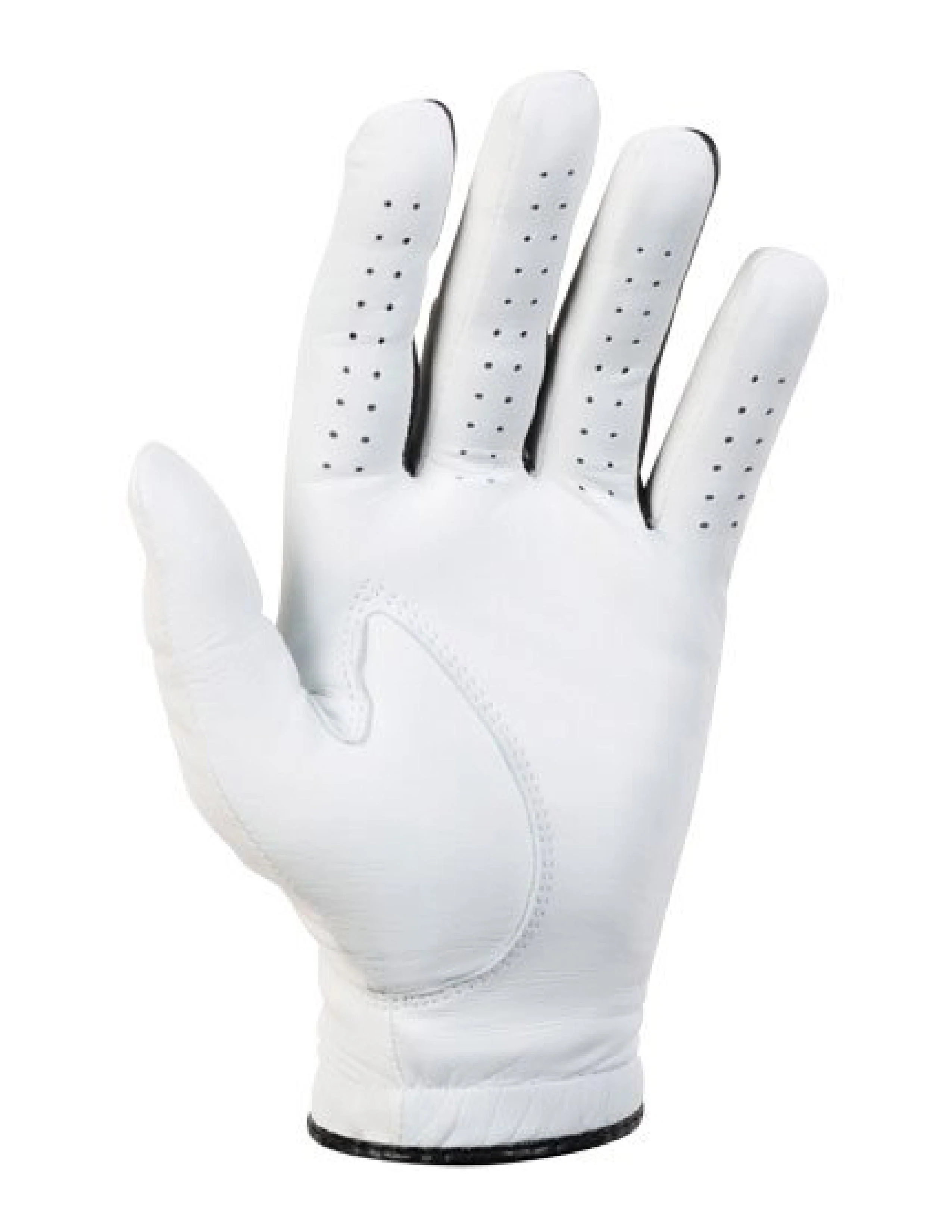 Eagle Glove - Image 2